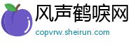 风声鹤唳网